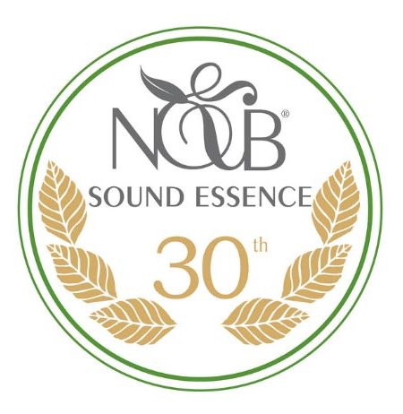 Disco musicale N&B Sound Essence