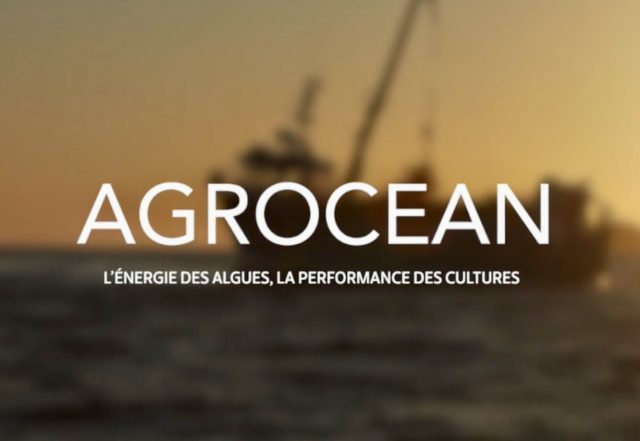 Agrocean-VoiceOver TUMTUM Studio